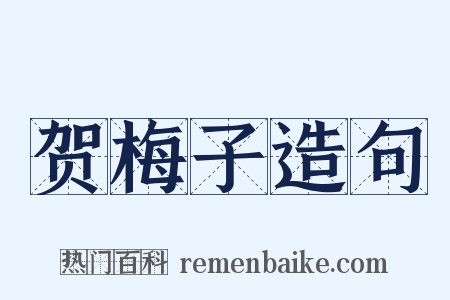 贺梅子造句是什么意思的图片